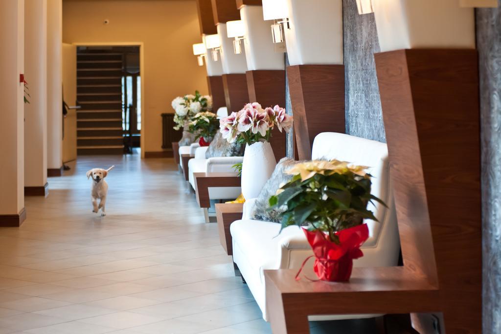 Hotel Garni Cristallo Понте ди Леньо Екстериор снимка